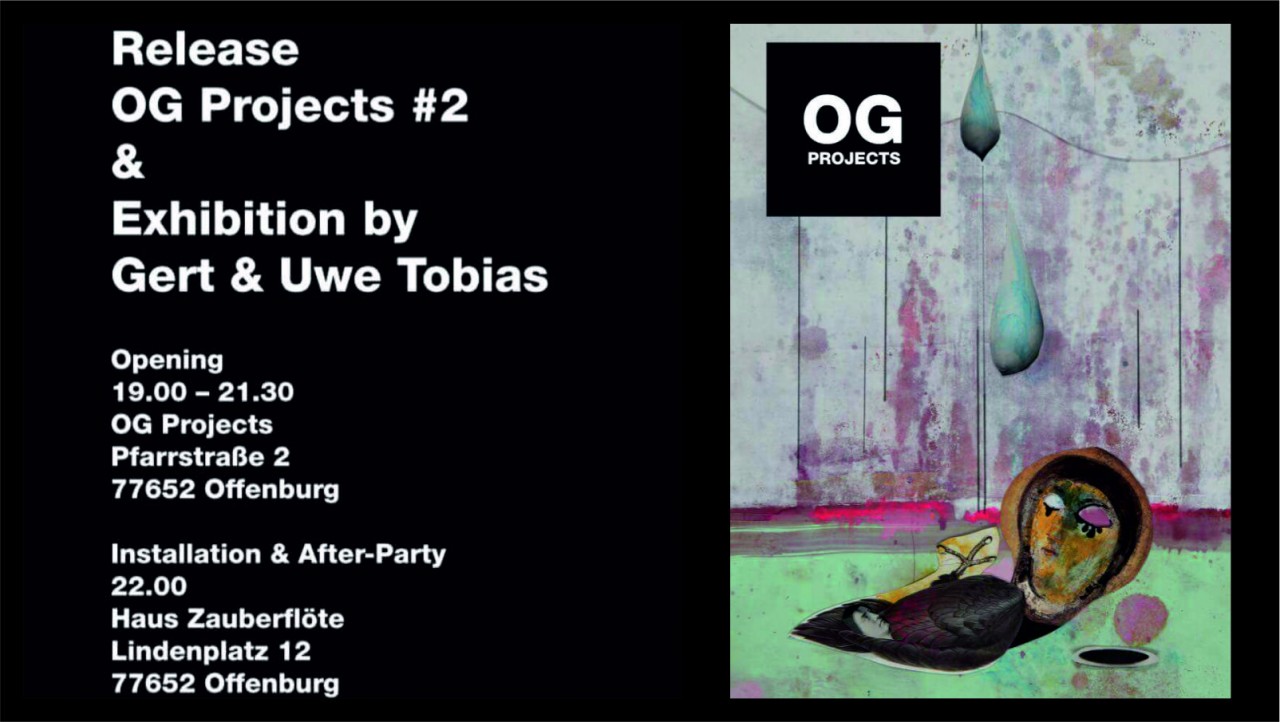 Installation OG Projects #2